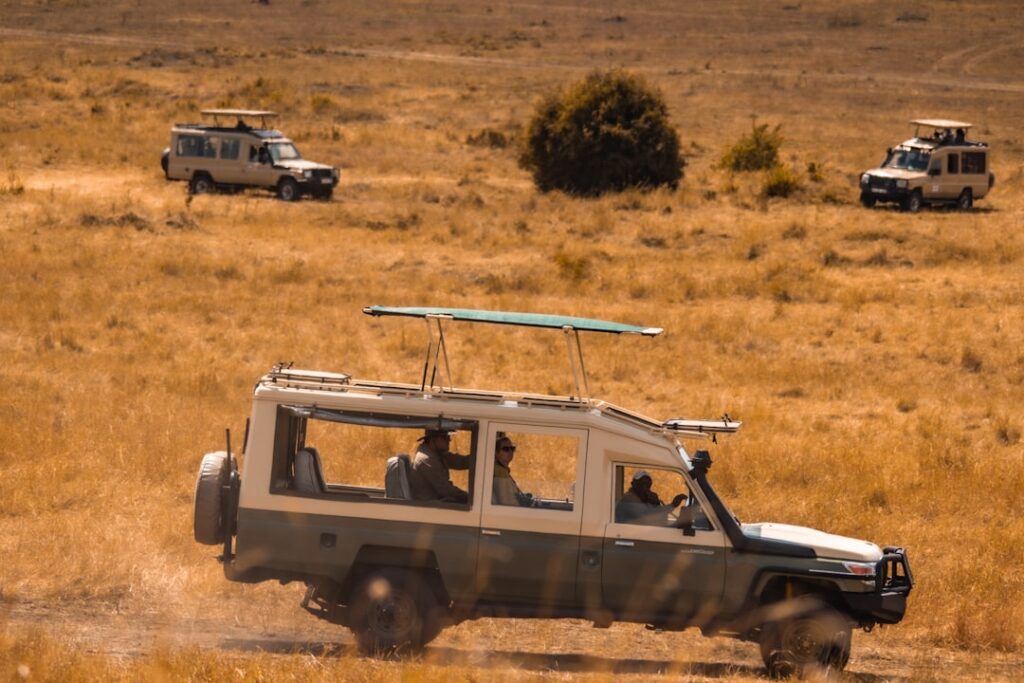 Photo Safari jeep