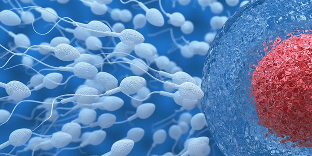 articol 2 fivmures doualocuri.ro