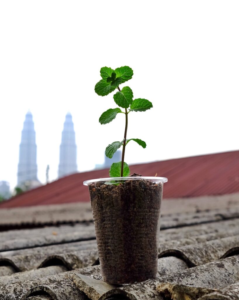 Photo "How to maintain balance between profit and social responsibility"