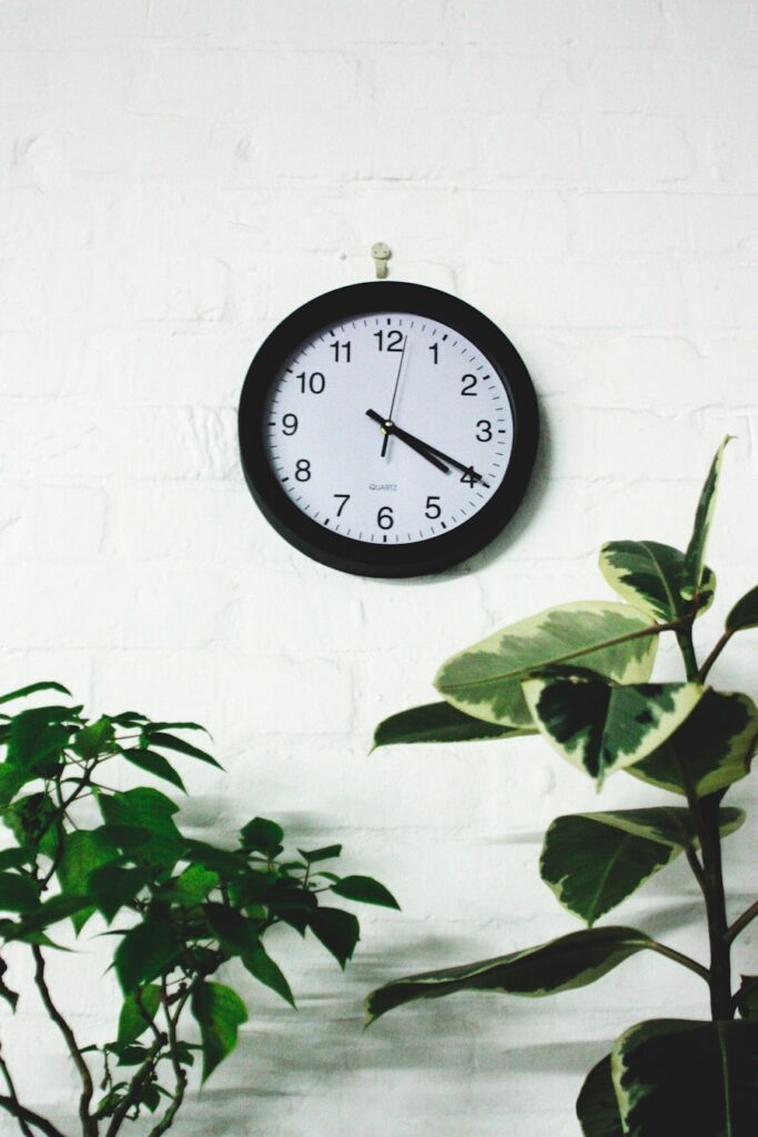 Photo "How to manage your time efficiently as an entrepreneur to grow the business"