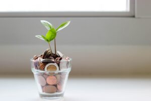 Photo "How to implement financial strategies for sustainable growth"