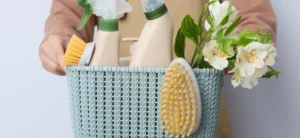 curatenie profesionala